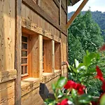 Living Timeless - Haldenhof, Design Retreat Im Schwarzwald シャレー
