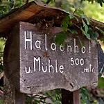 Living Timeless - Haldenhof, Design Retreat Im Schwarzwald シモンスヴァルト