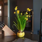 Living Timeless - Haldenhof, Design Retreat Im Schwarzwald シャレー シモンスヴァルト