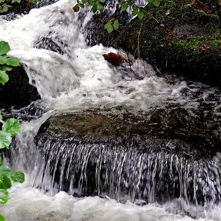 Chalet Living Timeless- Haldenhof Loft, Luxus Schwarzwald-retreat Mit Sauna Simonswald