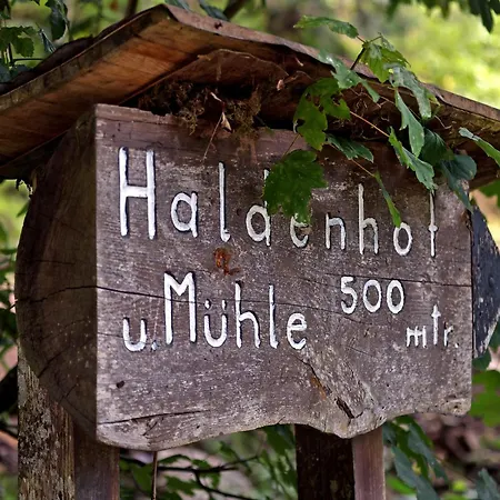 Living Timeless- Haldenhof Loft, Luxus Schwarzwald-retreat Mit Sauna Simonswald