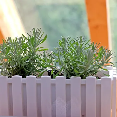 Chalet Living Timeless- Haldenhof Loft, Luxus Schwarzwald-retreat Mit Sauna Simonswald