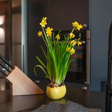 Haldenhof, Design Retreat Im Schwarzwald By Living Timeless Chalet Simonswald
