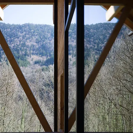 샬레 Haldenhof, Design Retreat Im Schwarzwald By Living Timeless 시몬스발드